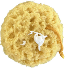 Load image into Gallery viewer, Redesigned Exfoliating Foam Sea Sponge- 3 Pack
