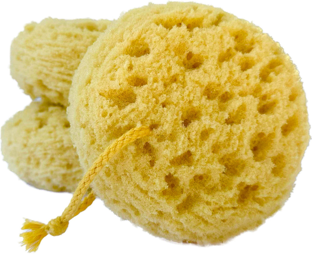 Redesigned Exfoliating Foam Sea Sponge- 3 Pack
