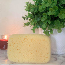 Load image into Gallery viewer, Bath Sponge Variety Pack W/ Original Foam Sea Sponge
